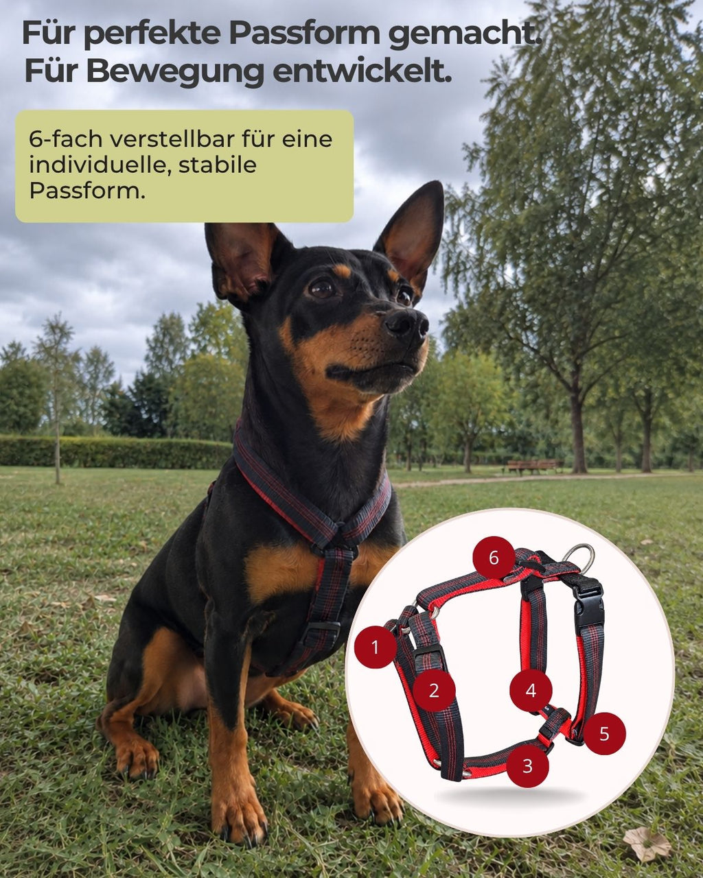 schmale-brust-02