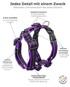 breite-brust_03