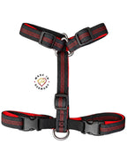 schmale-brust-04
